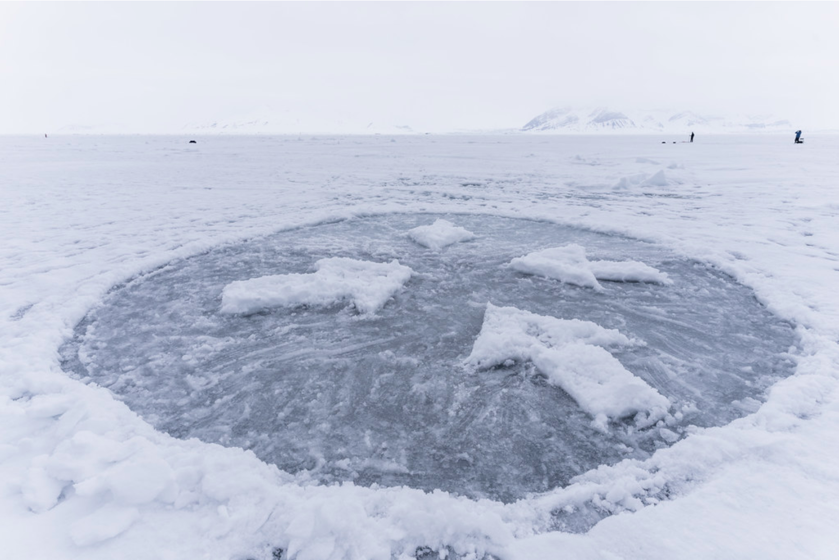 Polar Direction